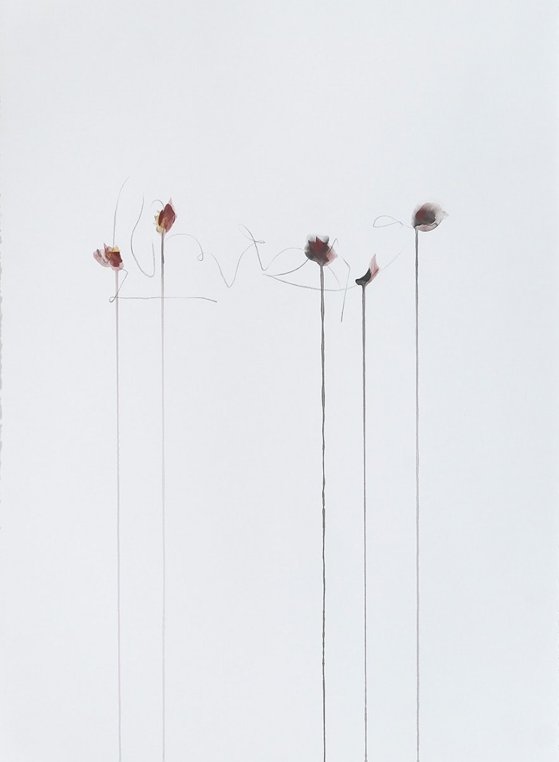 IIWAM 180 b, Image 1.