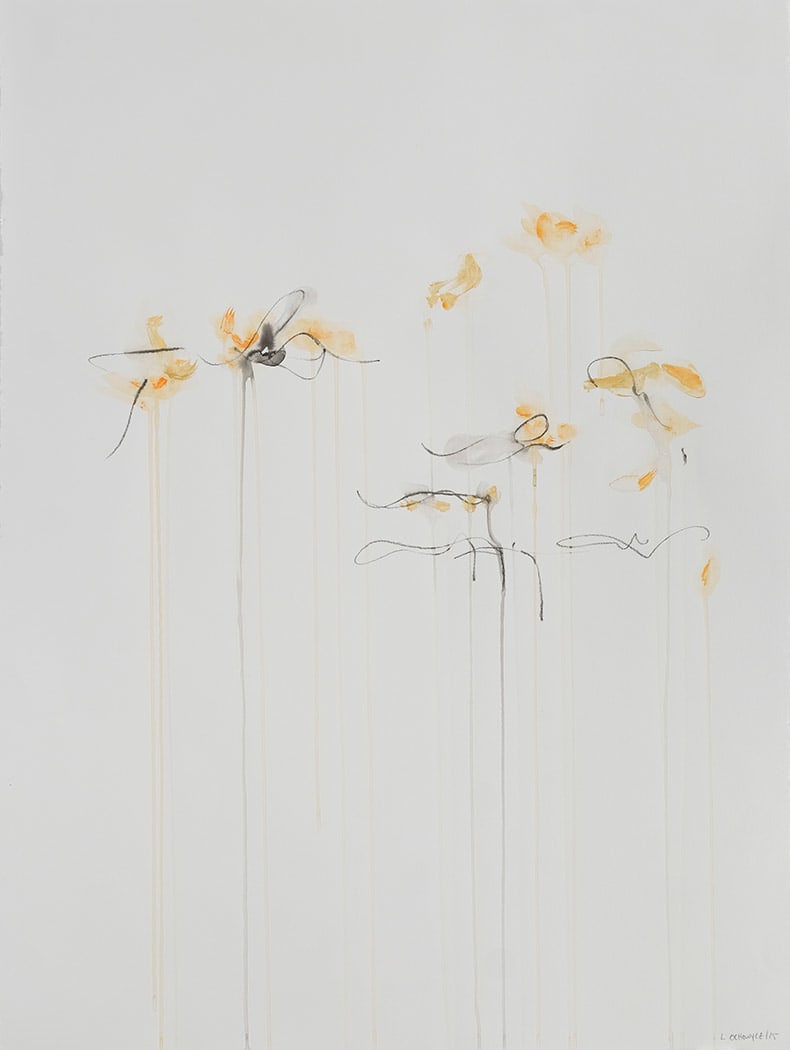 IIWAM 72 b, Image 1.