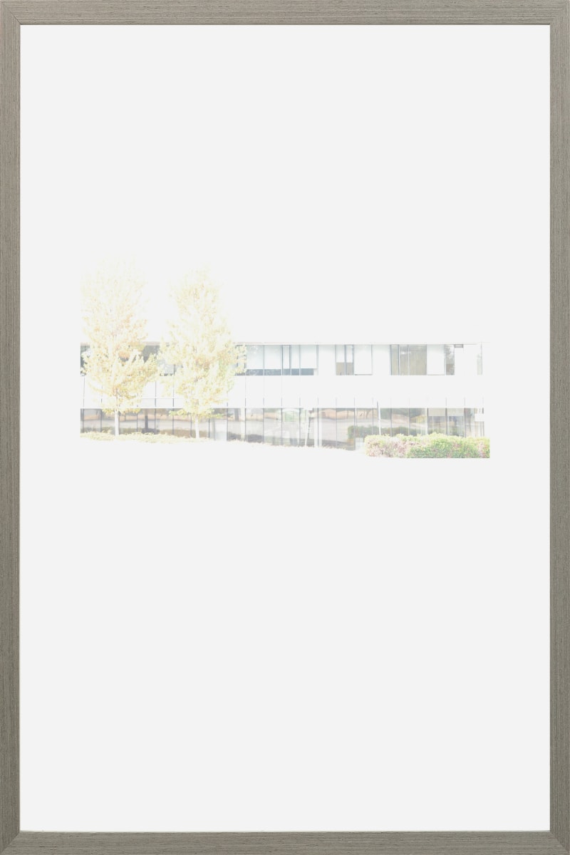 Traces 17 by Lisa Ochowycz, Image 1.