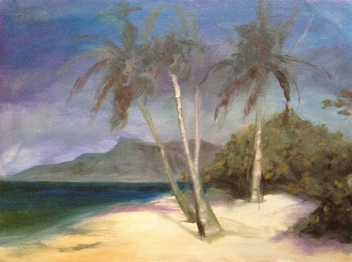 Dark Beach by Rani Young 