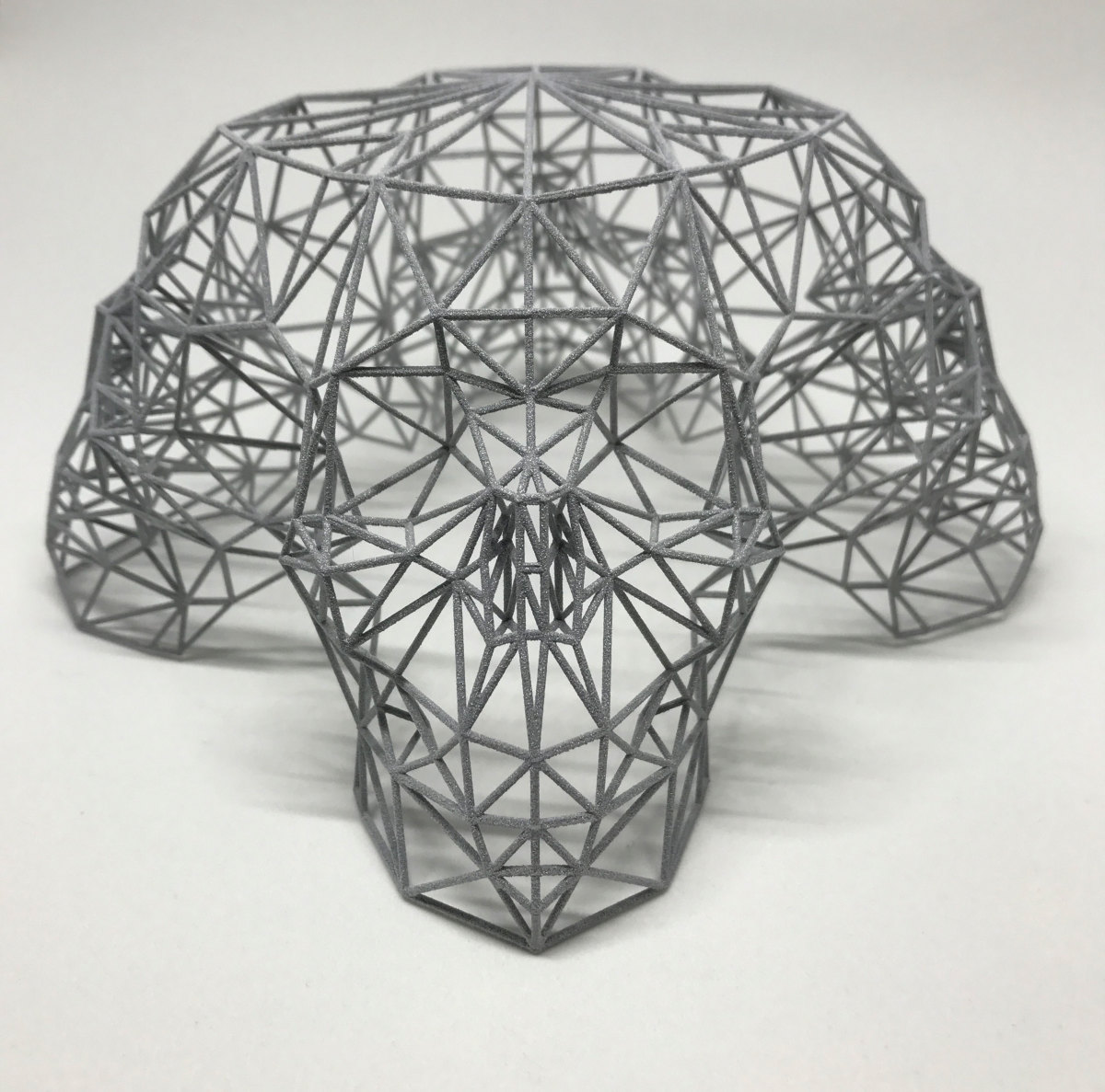 QUAD SKULL ACGE - 3D PRINT by Angie Jones 