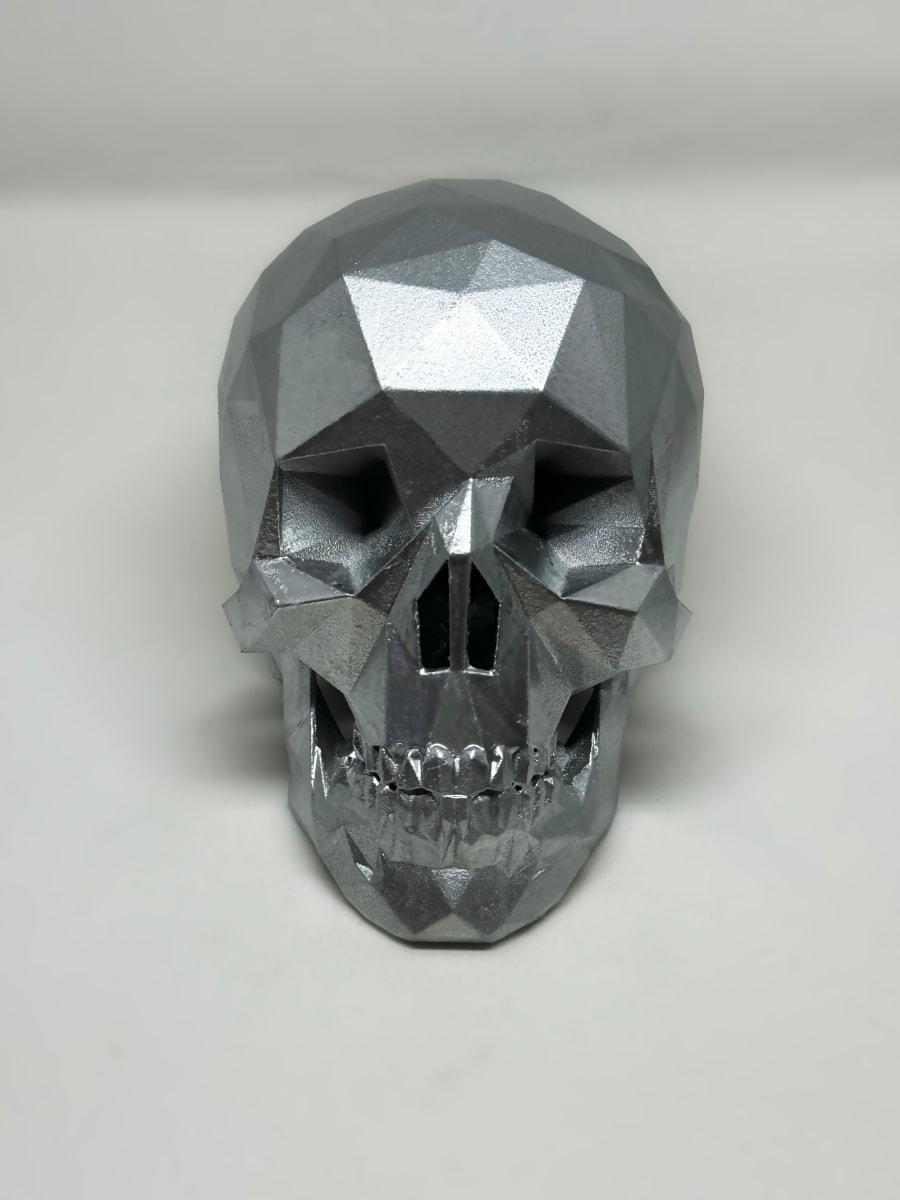 After Life Skull - Shimmering Silver by Angie Jones 