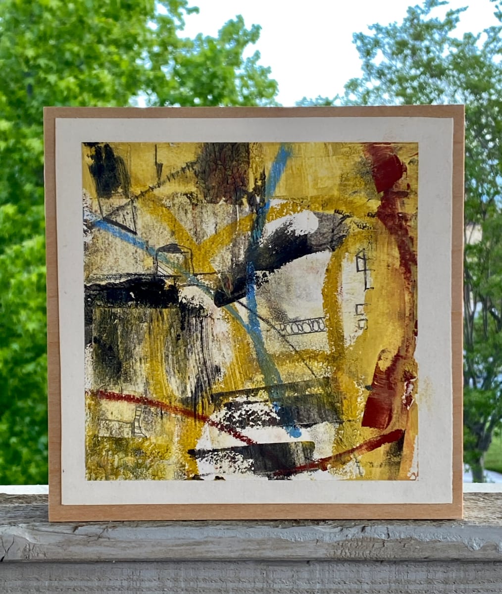 Beauty Amidst Chaos 5 