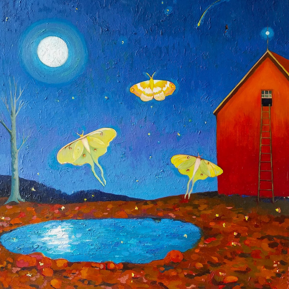 Moth Dreams by Lauren Litwa, Image 1.