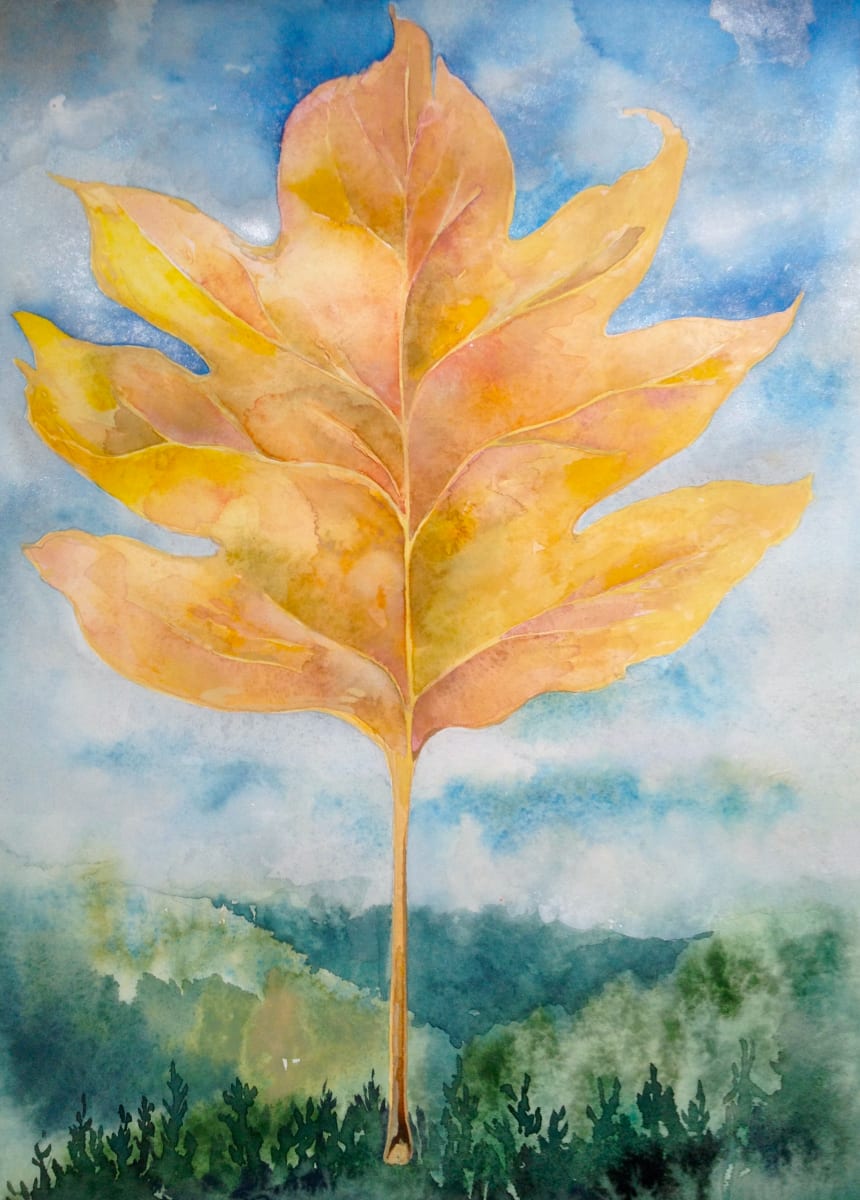 Floating Leaf, Image 1.