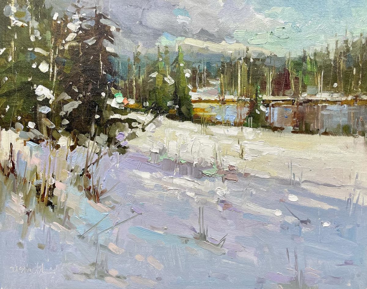 Spring Thaw, Loon Lake 