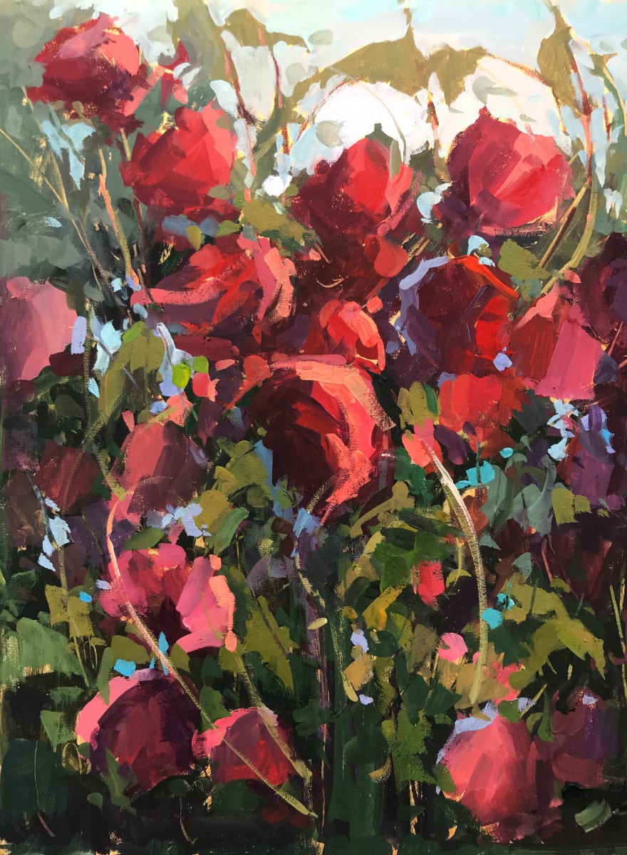 Blaze Climbing Roses, Image 1.