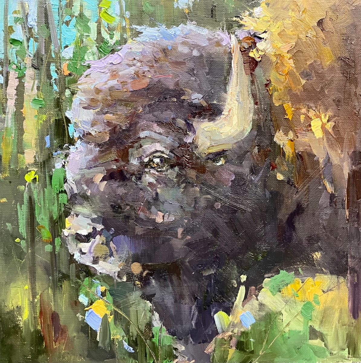 Yellowstone Bull, Lawrence 