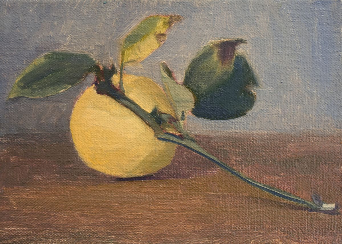 Study of a Lemon with Leaves by Curtis Green  Image: Study of a Lemon with Leaves, 2022 by Curtis Green