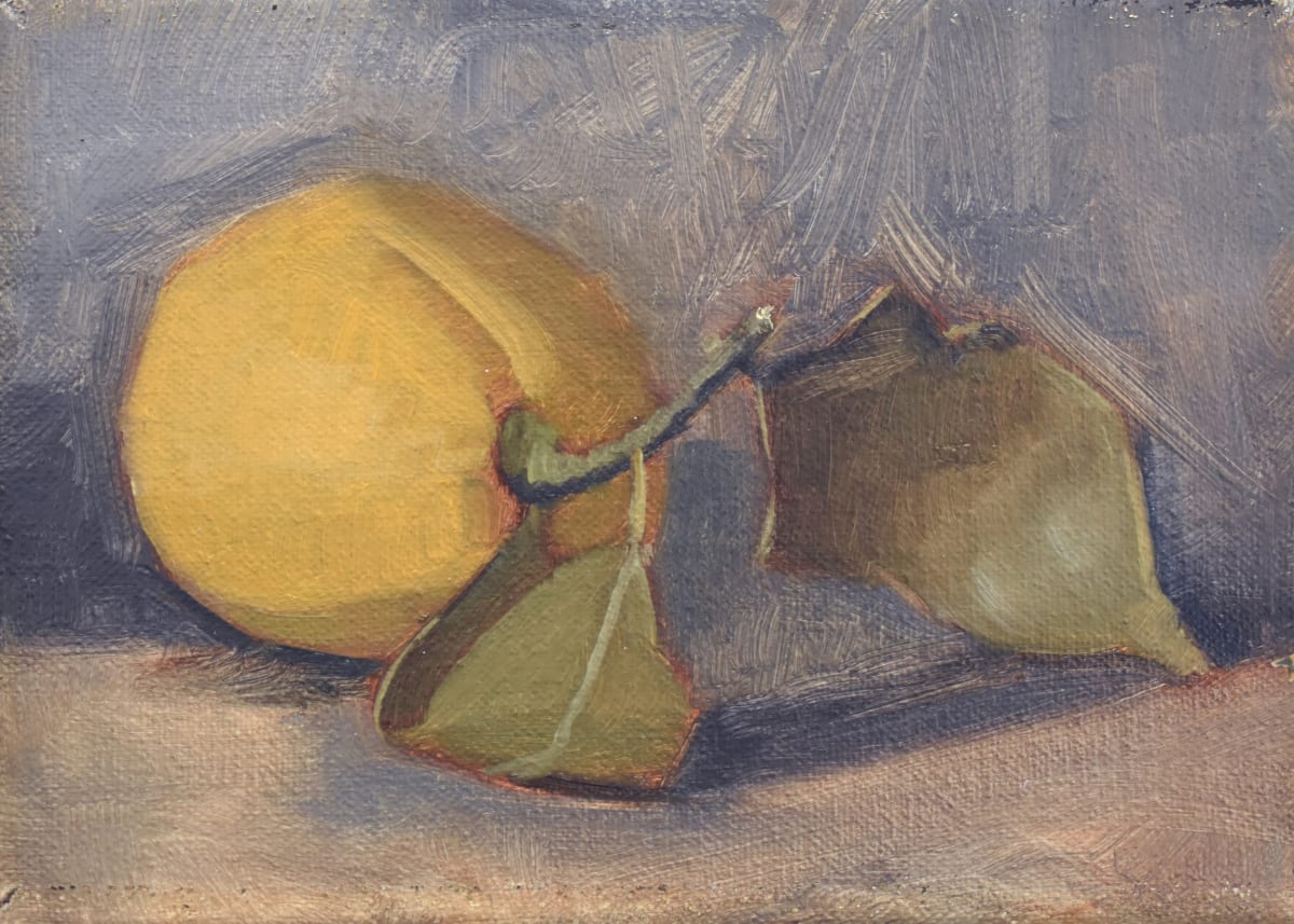 Study of a Lemon by Curtis Green  Image: Study of a Lemon, 2022 by Curtis Green