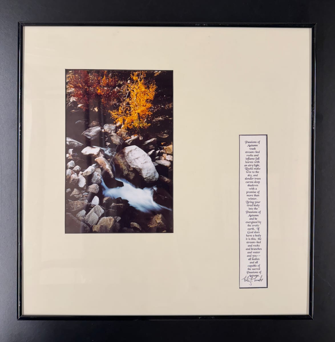 Passions of Autumn by Hilary F. Marckx 