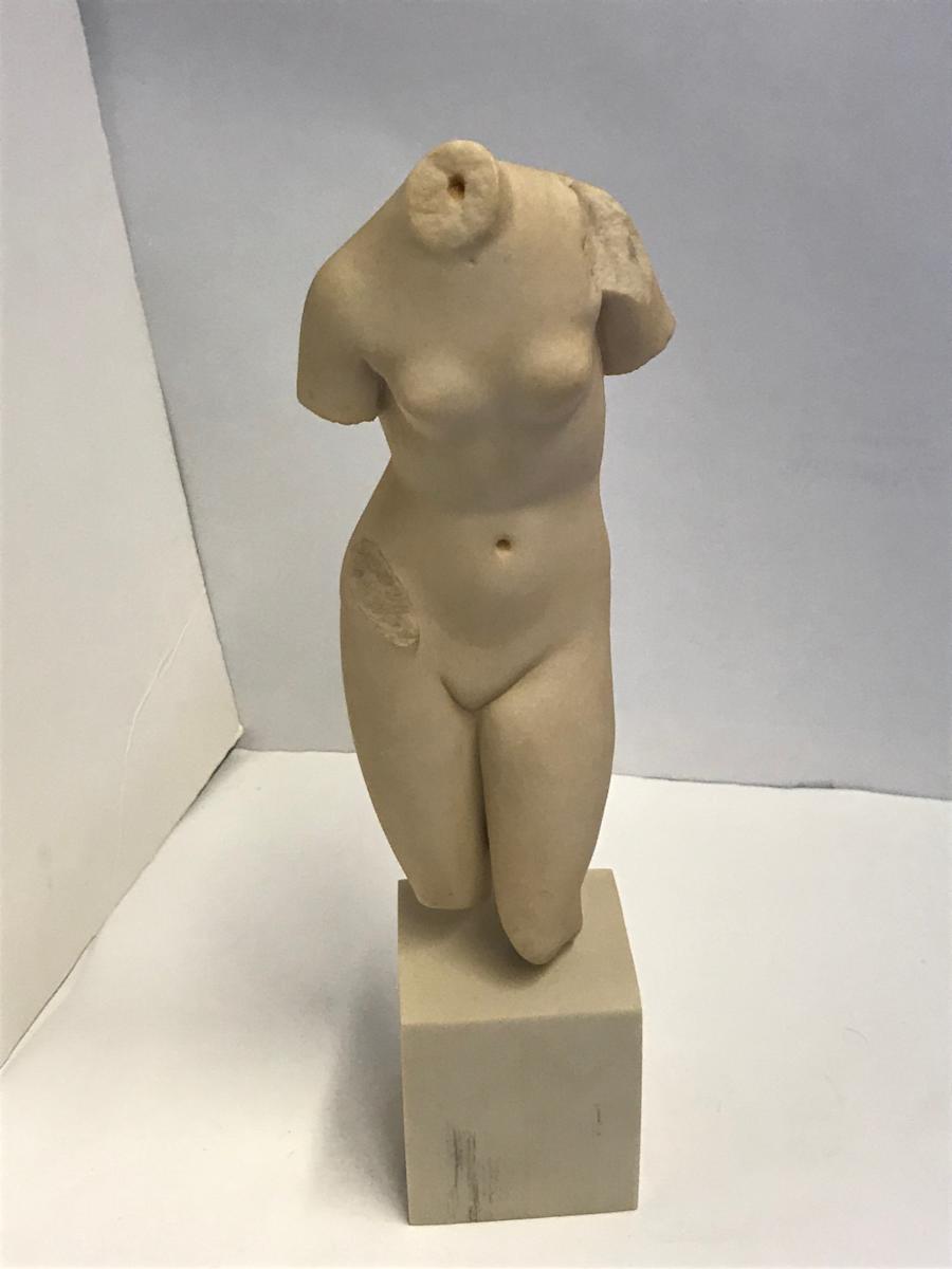Venus Torso, Image 5.