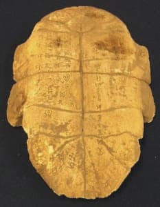 Oracle Bone, Turtle Shell, Image 1.