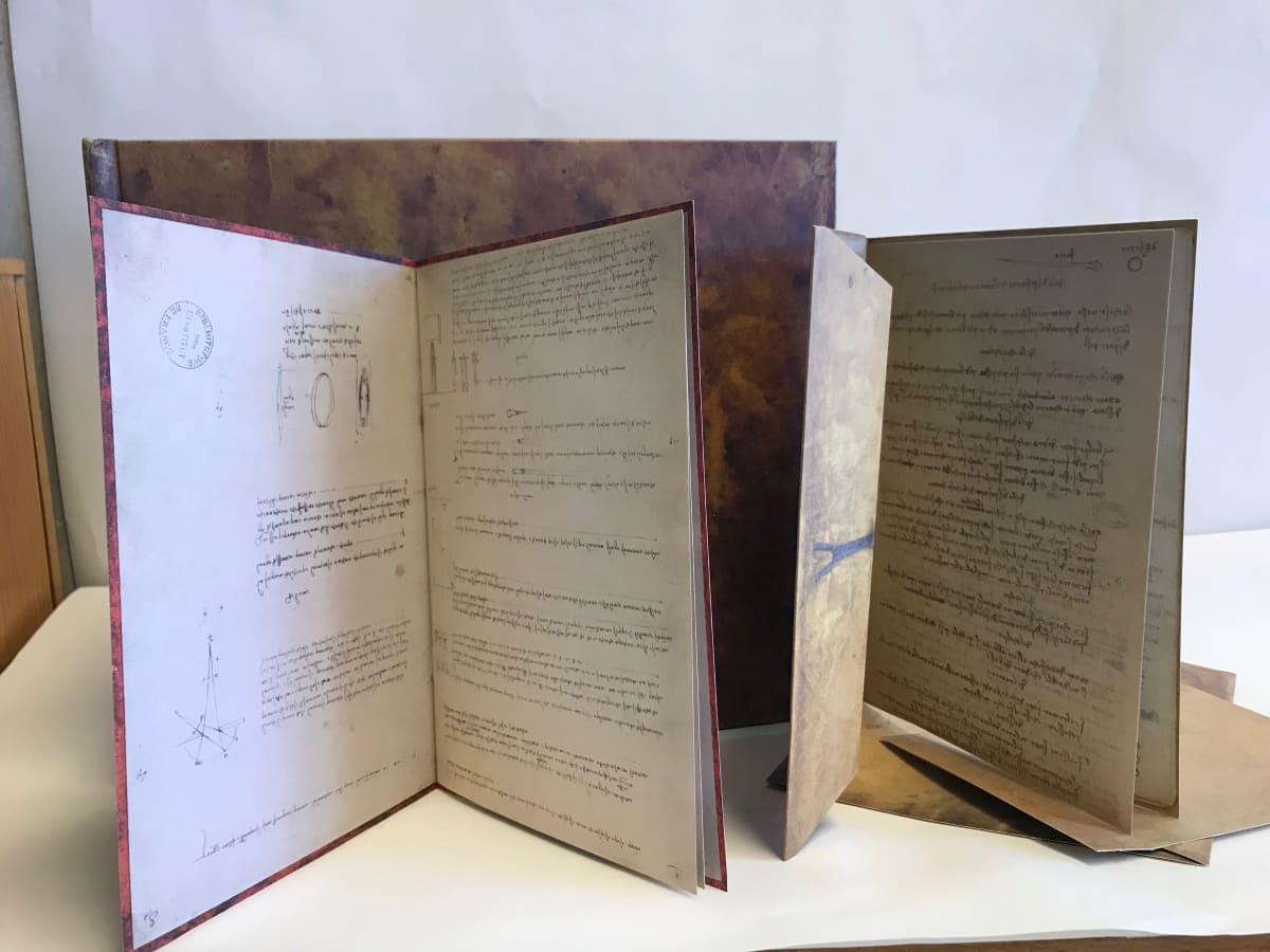 The Treasures of Leonardo da Vinci 