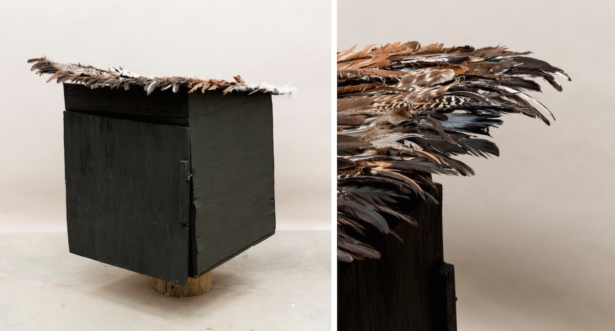 (domesticated) Bird House by Mira Burack  Image: (Domesticated) Bird House, 2015, Found wood container, paint, turkey, goose, and chicken feathers, sound piece in collaboration with Jason Janusch, 31” W x 51” H x 45” D