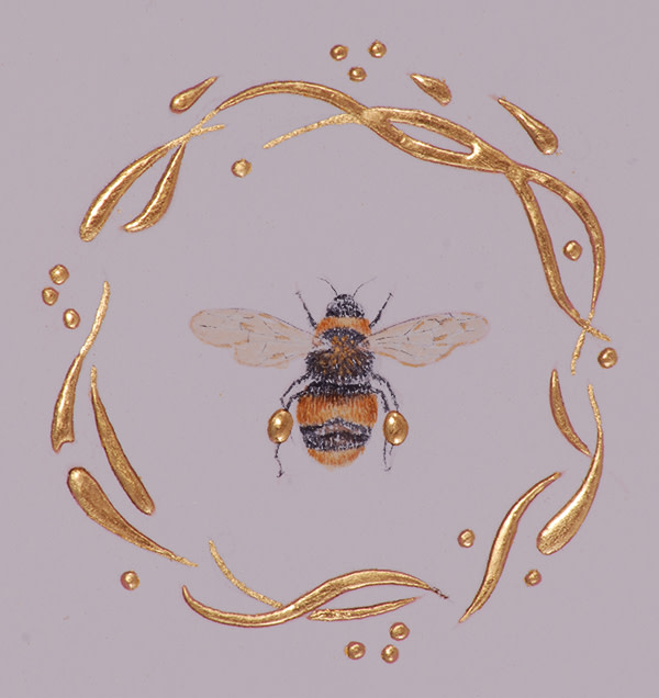 Buff-tailed Bumblebee by Toni Watts 