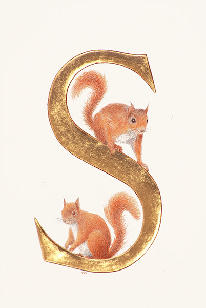 S is for Squirrel by Toni Watts 