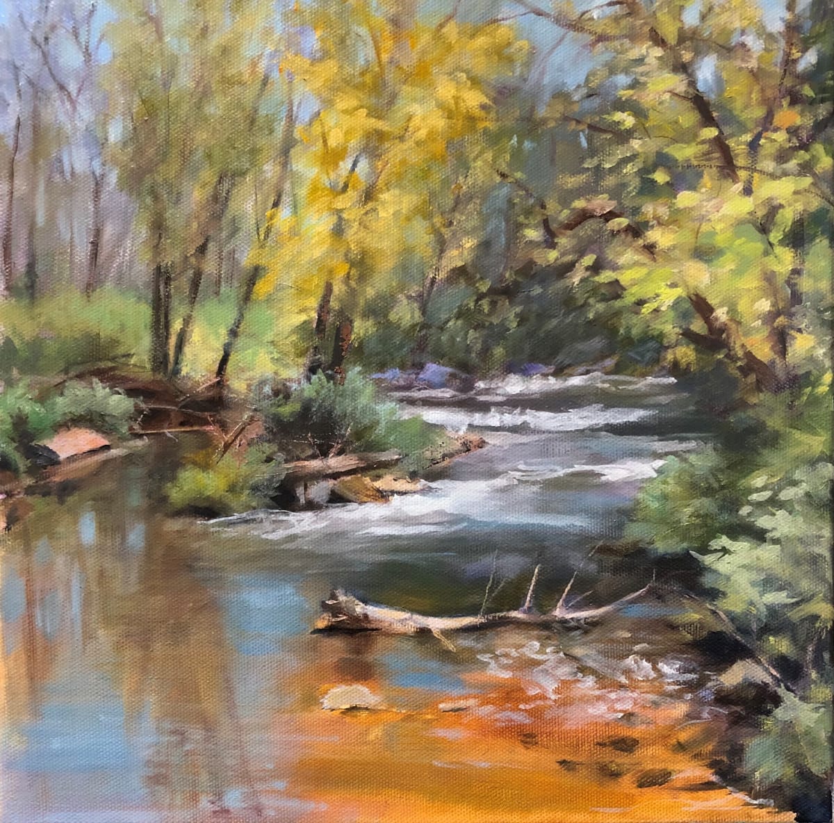 Nature's Collection by Madeleine Kelly 