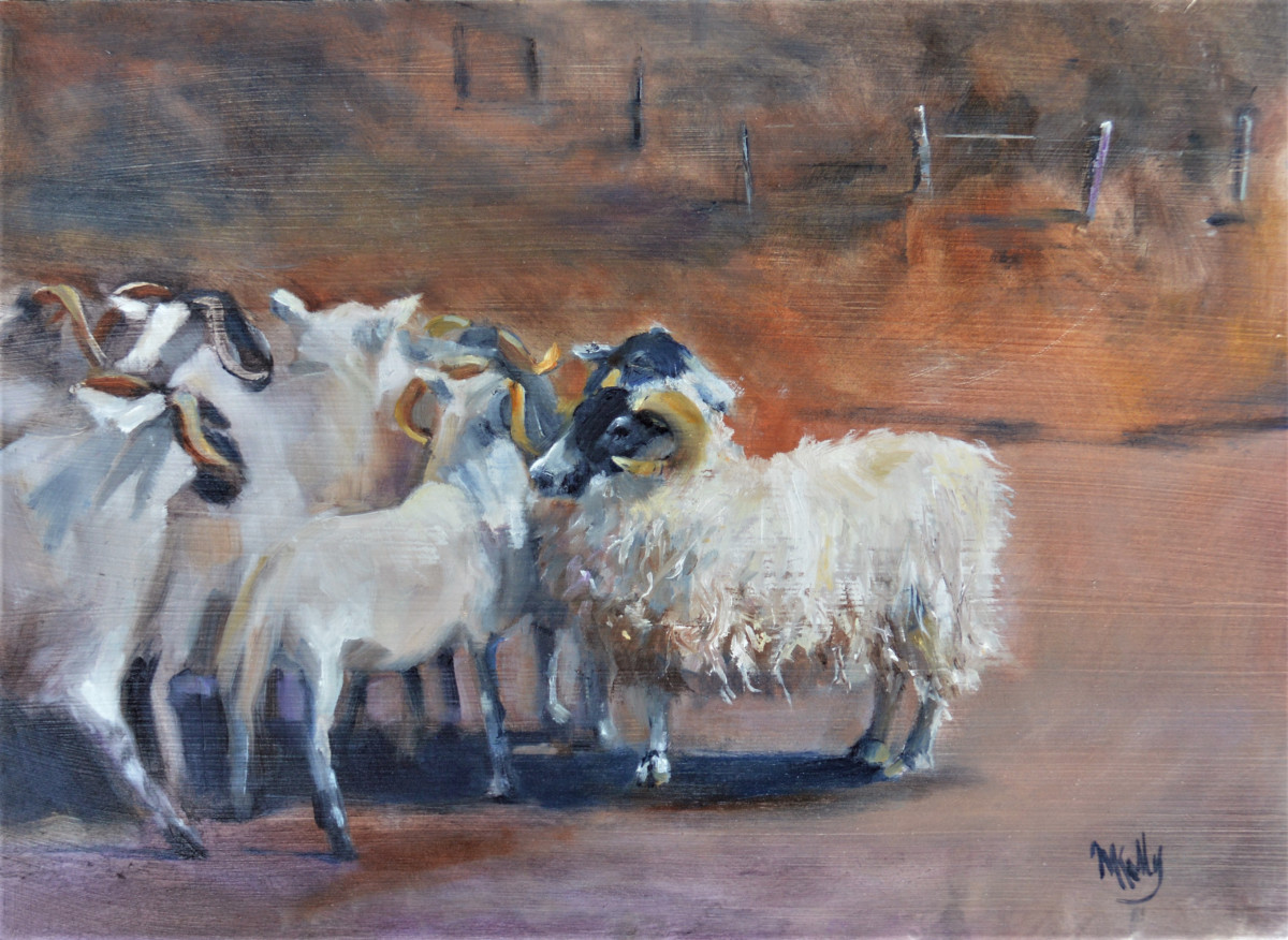 The Flock by Madeleine Kelly 