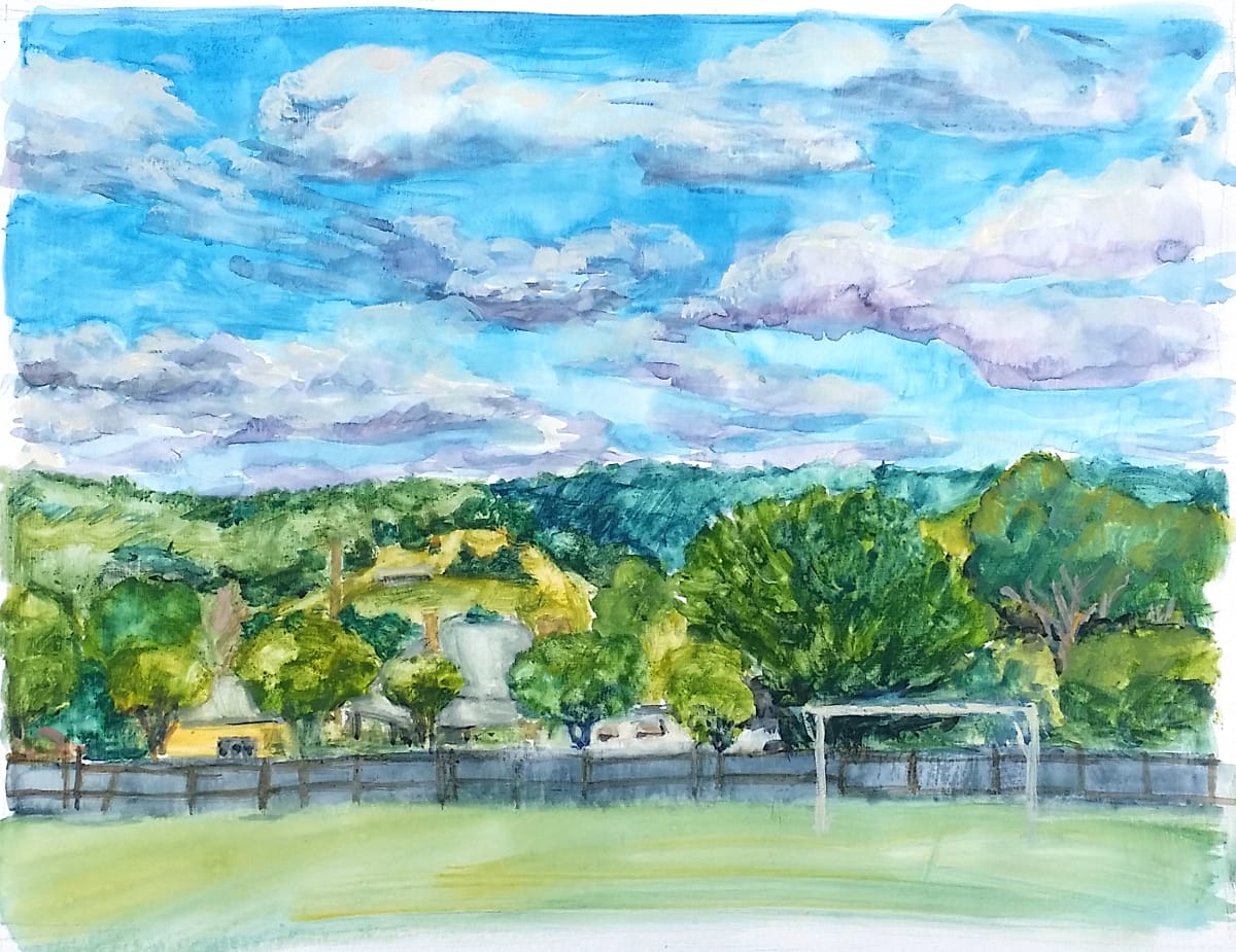 Sports Ground Pambula by Miranda Free 