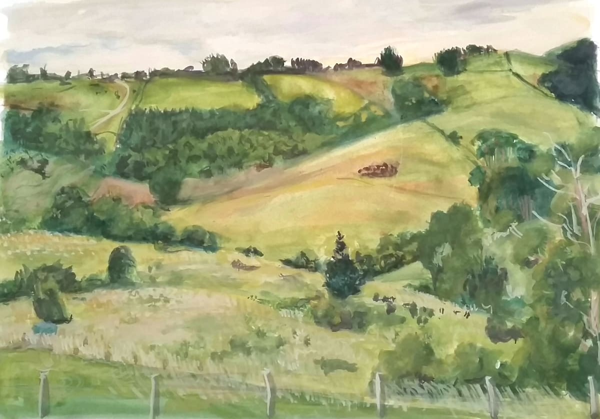 Coopers Shoot Byron Bay Hinterland by Miranda Free 