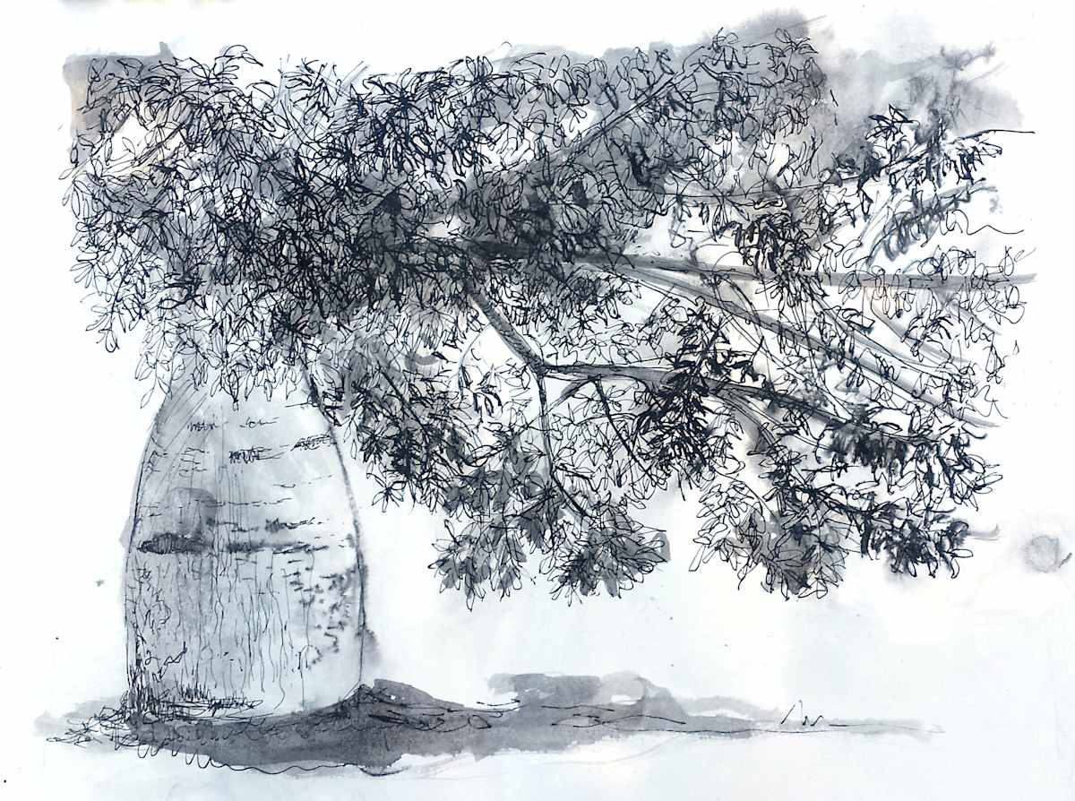 Bottle Tree Alpha by Miranda Free, Image 2.