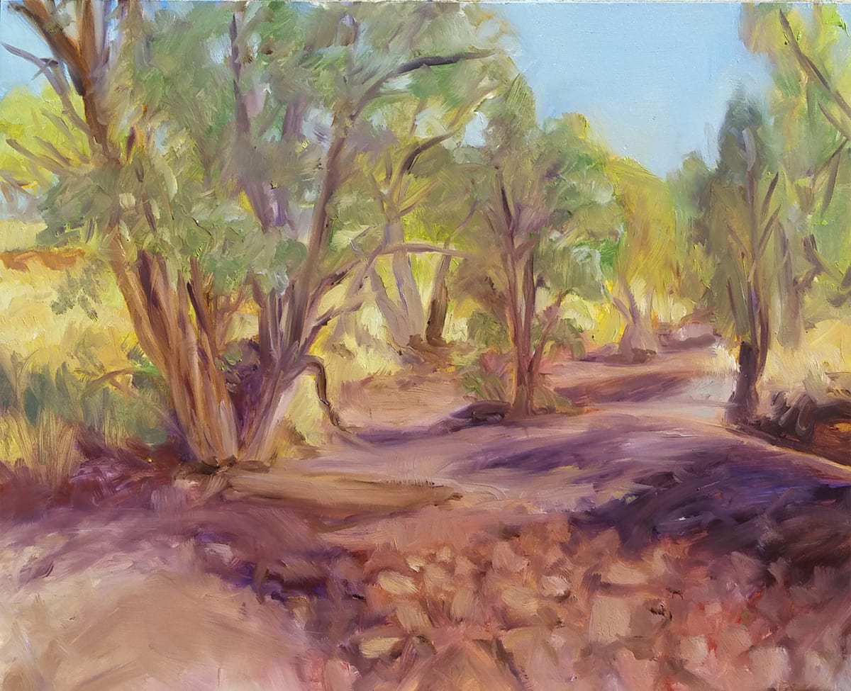 Cloncurry River Dry Qld by Miranda Free, Image 1.