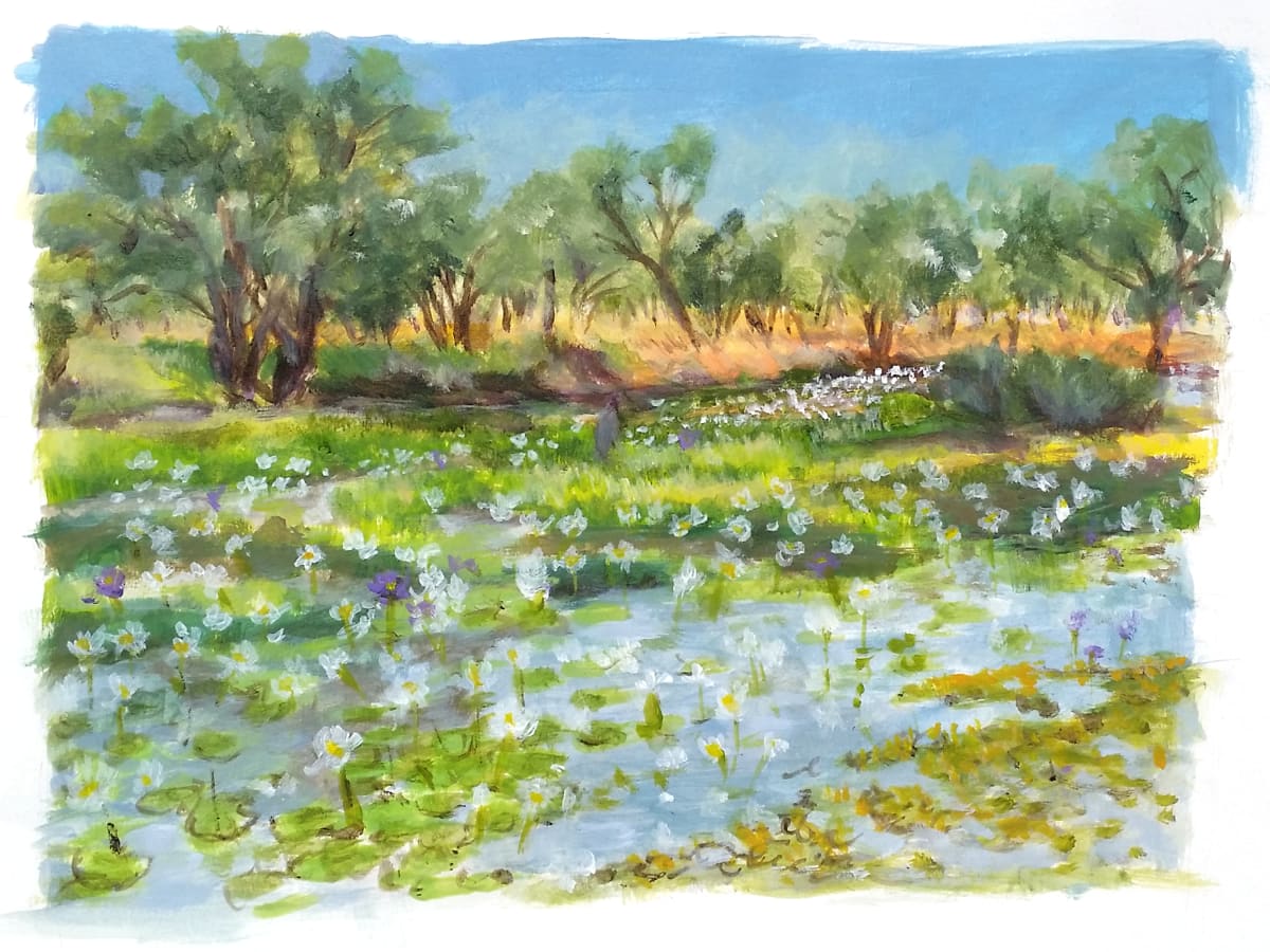 Georgina River Camooweal by Miranda Free 