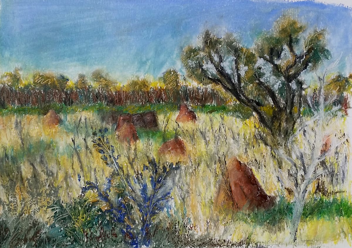 Termite Mounds 41 Mile Bore by Miranda Free, Image 1.