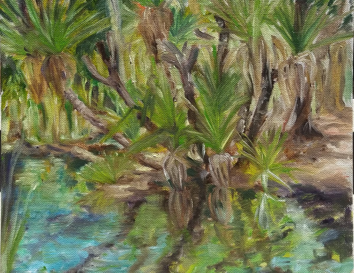 Bitter Springs Mataranka by Miranda Free 