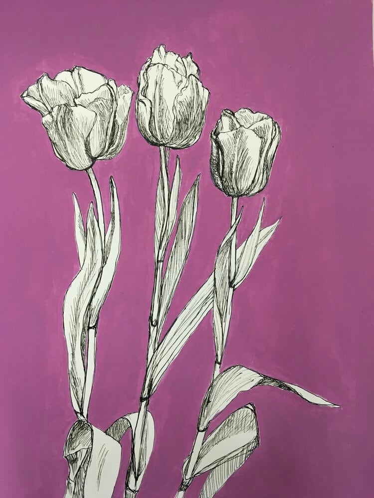 Three Amigos by Miranda Free 