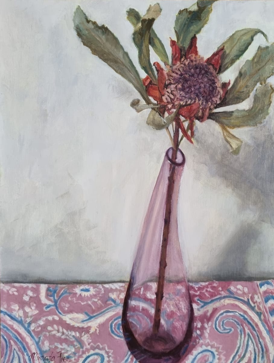 Dried Waratah by Miranda Free 