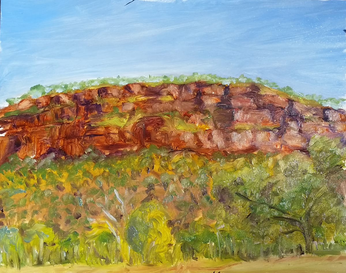 Victoria River Escarpment by Miranda Free 