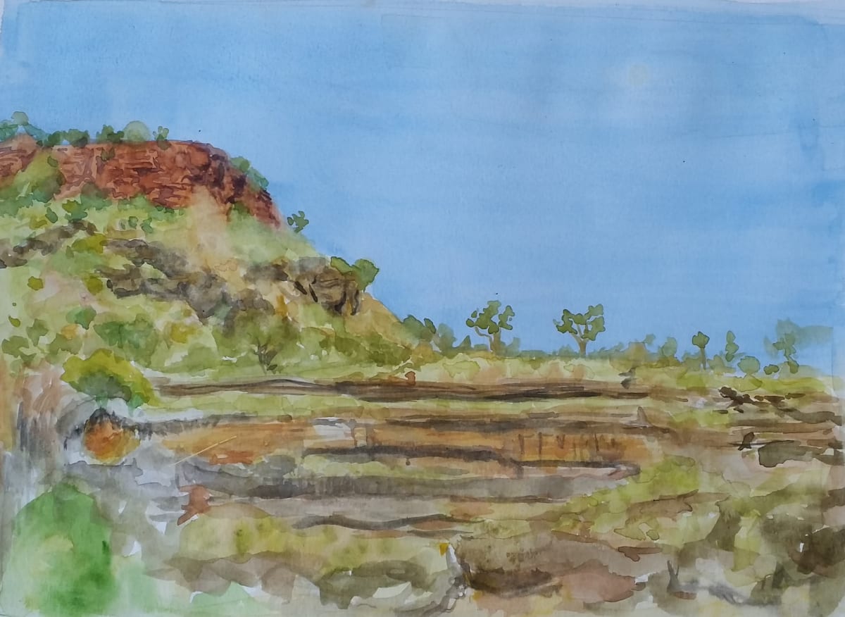 Escarpment Saddler Creek by Miranda Free 