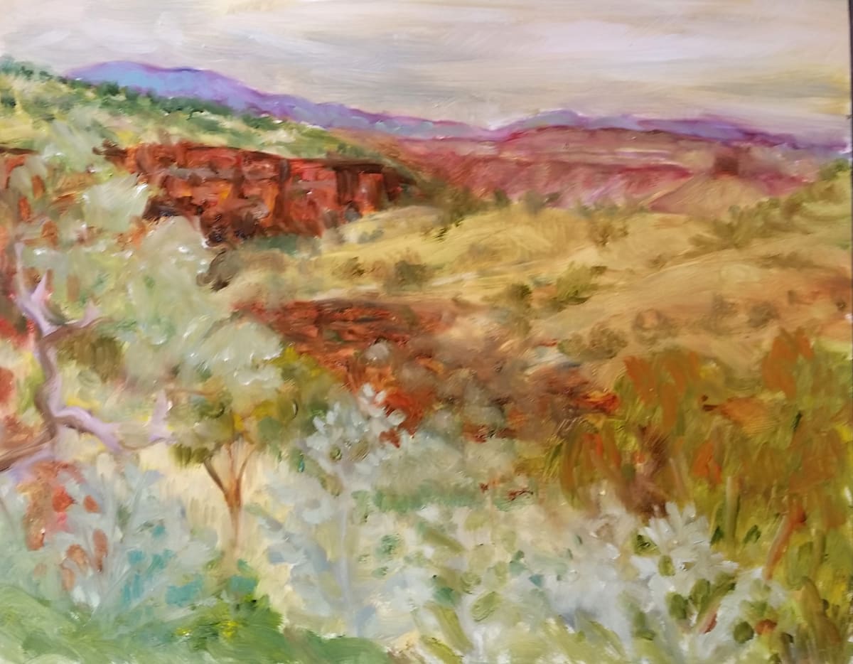 Gorge Country, Pilbara by Miranda Free 