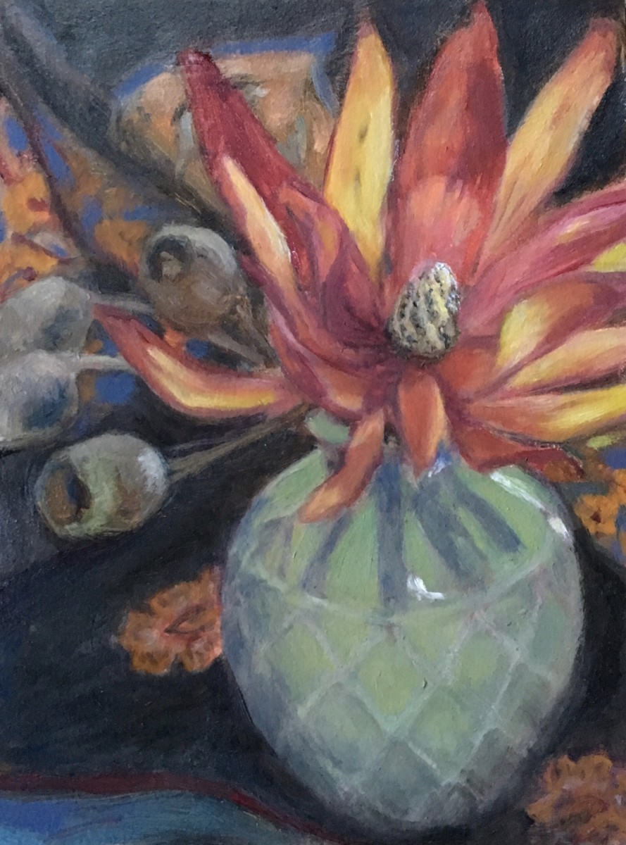 Leucadendron by Miranda Free 