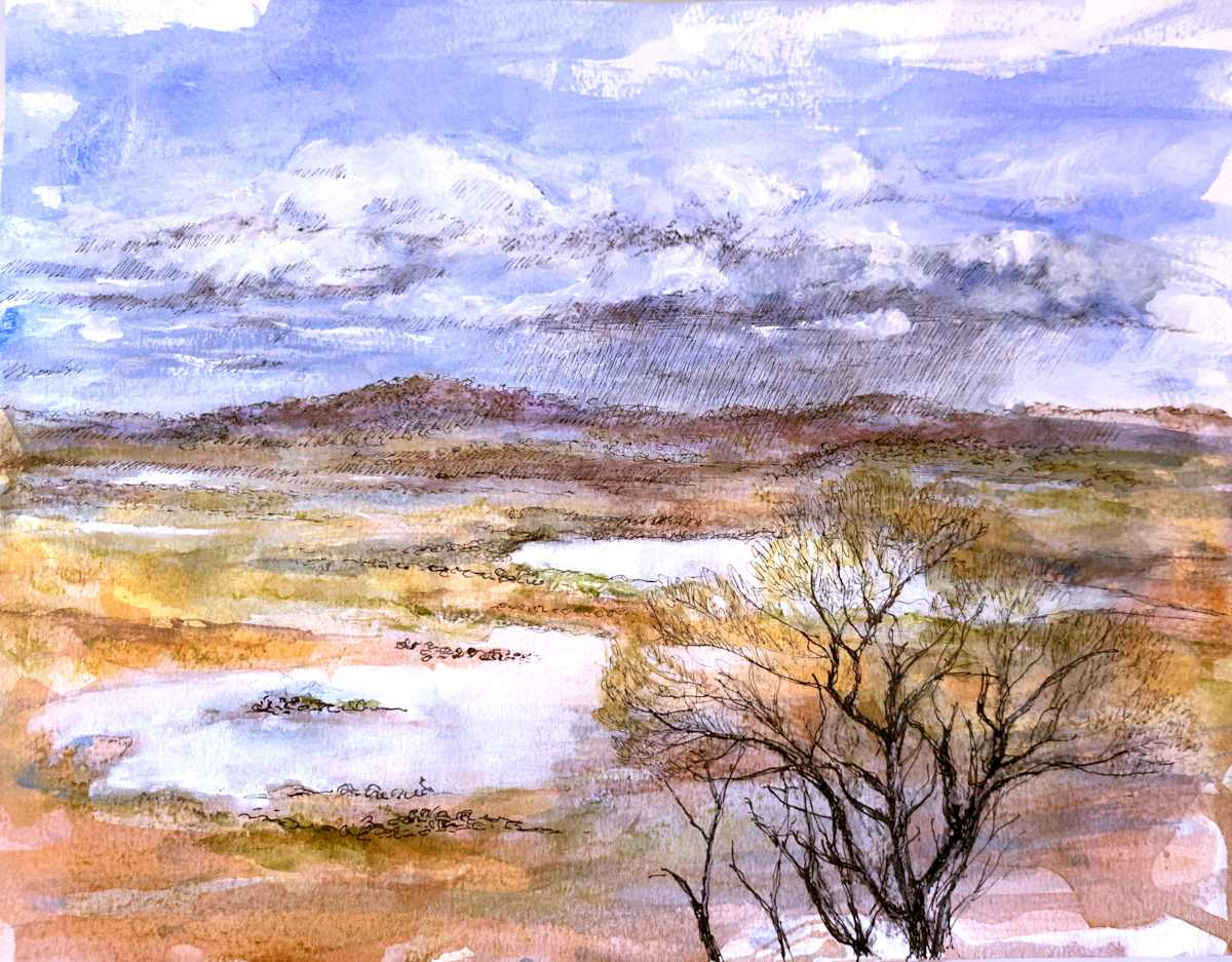 Distant View Goldfields 1 by Miranda Free, Image 7.