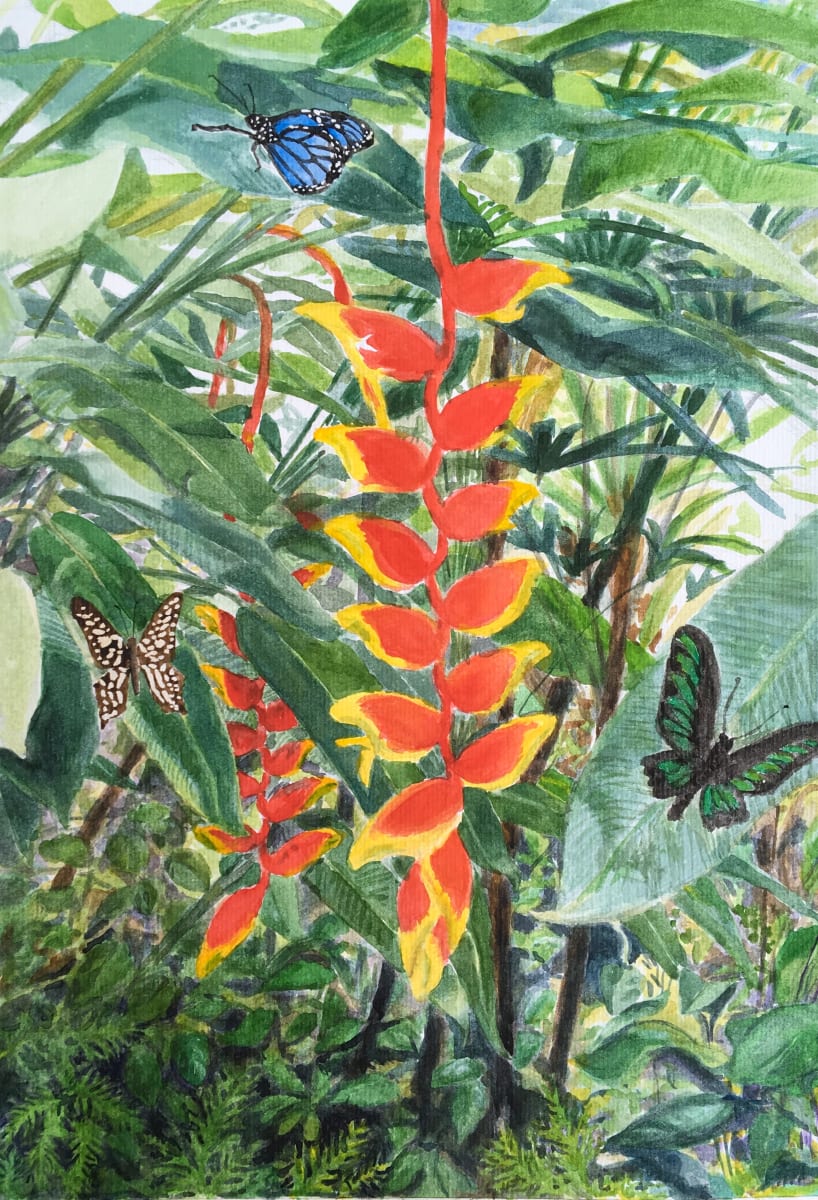 Heliconia and Butterflies by Miranda Free 