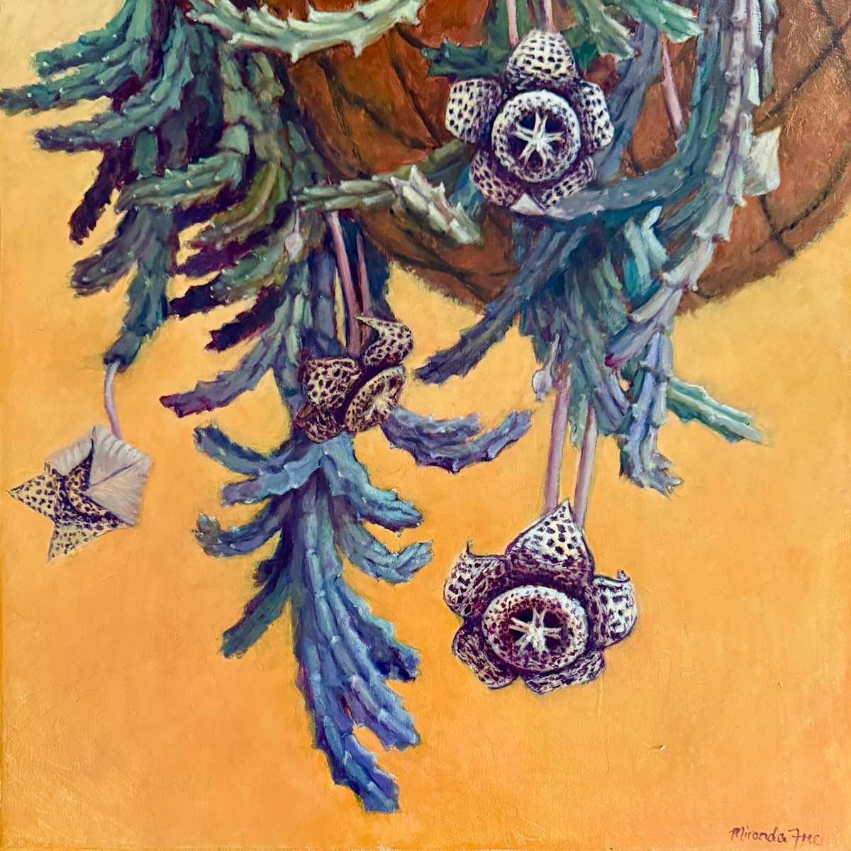 Starfish Cactus by Miranda Free, Image 3.