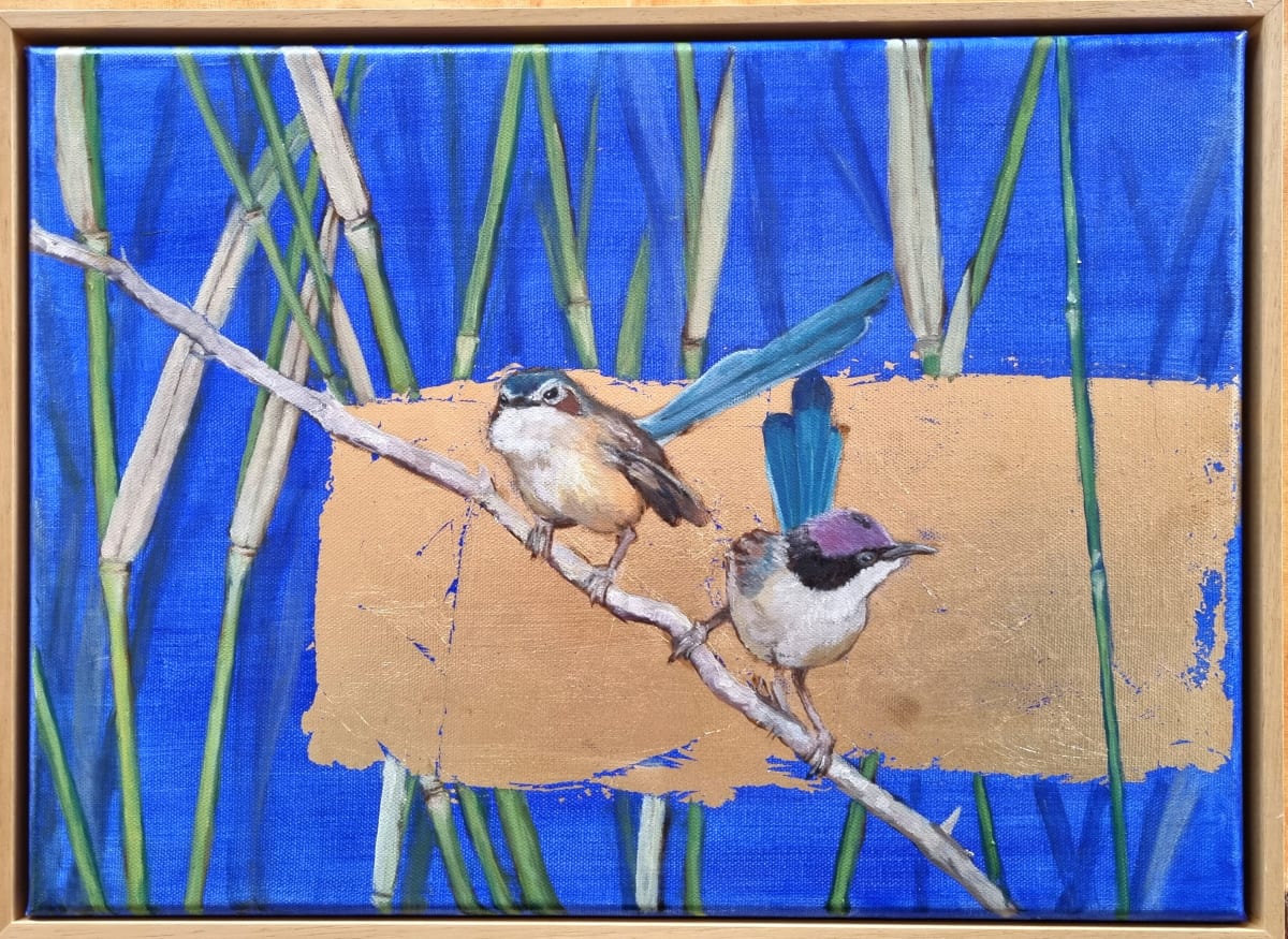 Purple Crowned Wrens 