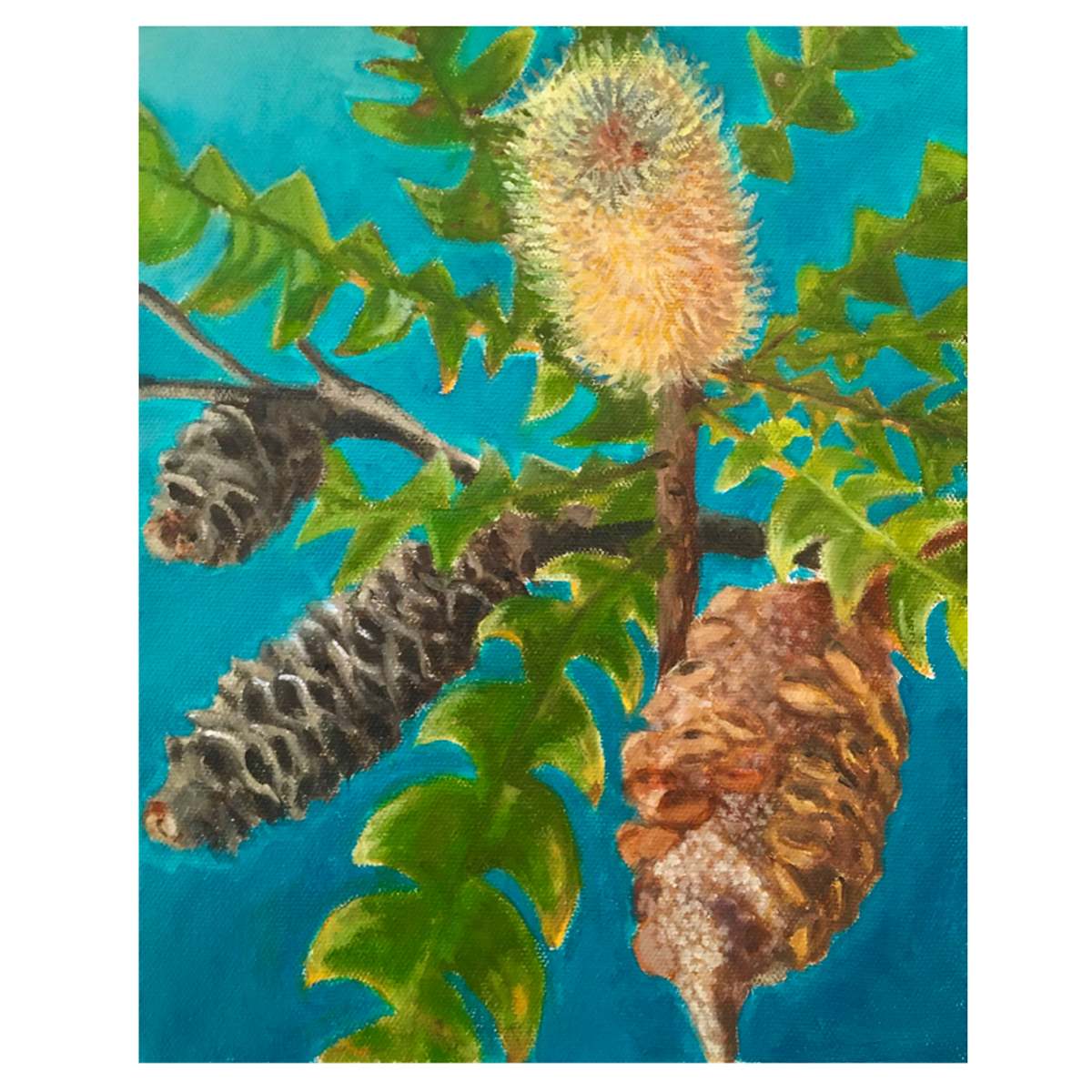 Banksia Life Cycle by Miranda Free, Image 1.