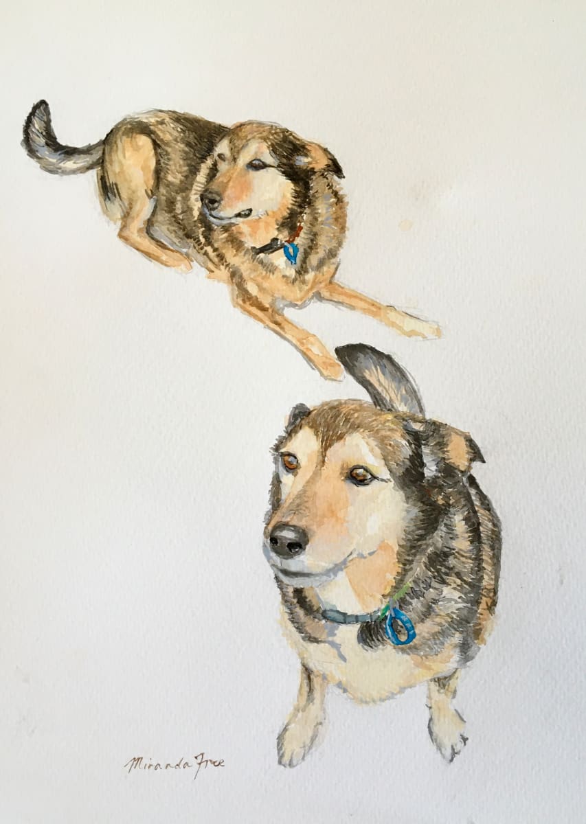 Lauren's Sister's Dogs 