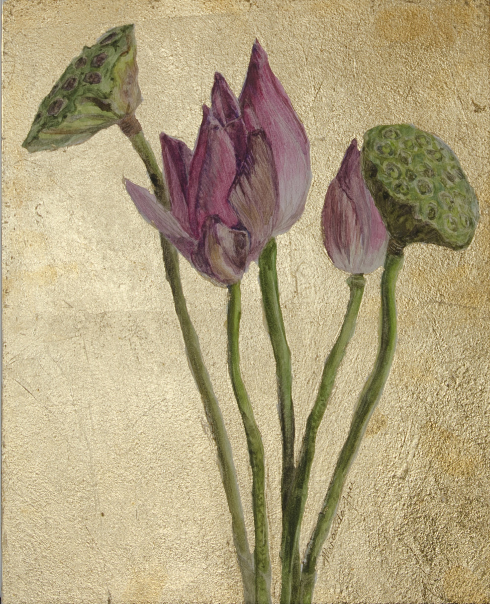 Lotus Dreaming by Miranda Free 