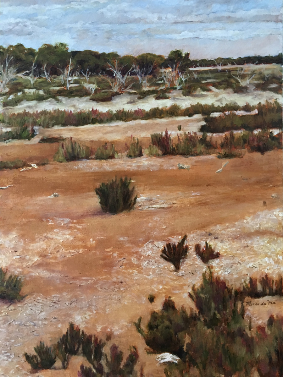 Salt Marshes by Miranda Free 
