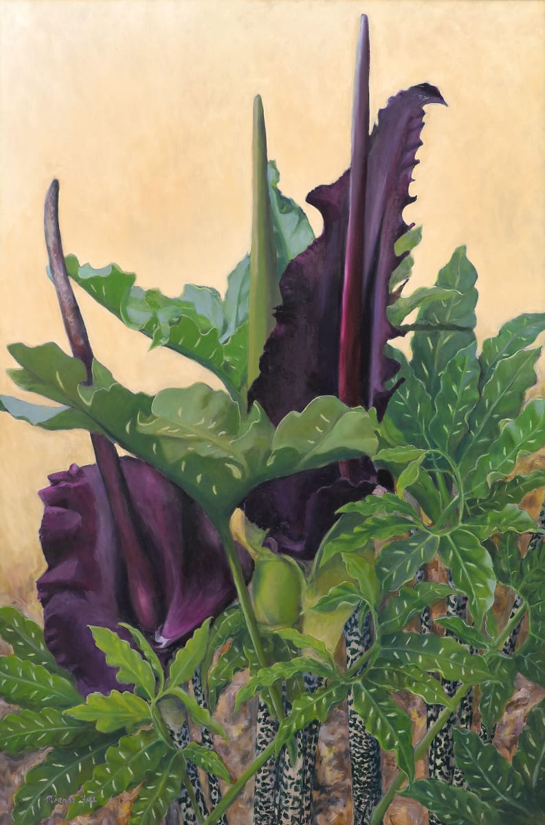 Voodoo Lilies by Miranda Free 