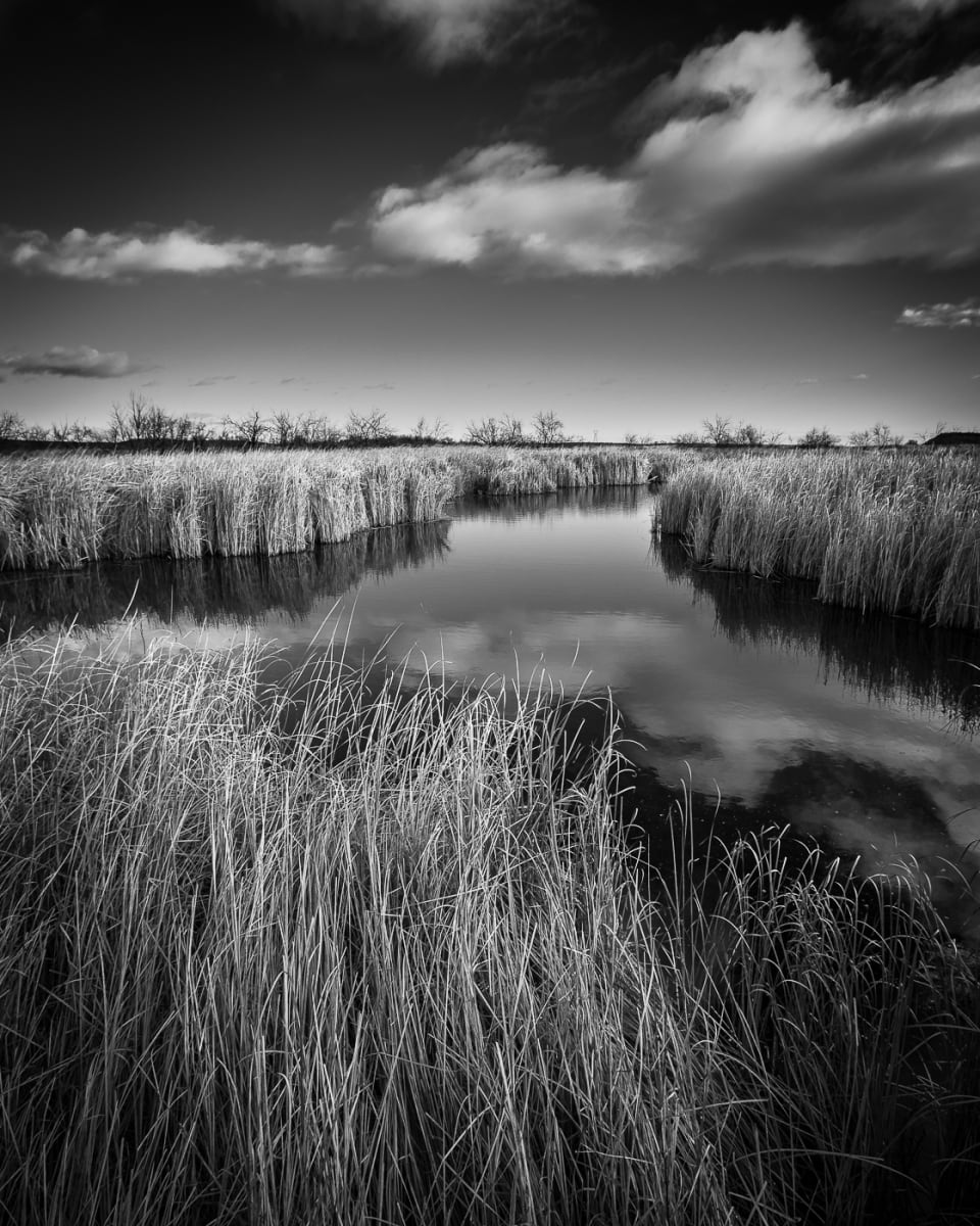 Solace by Angshuman Sarkar 