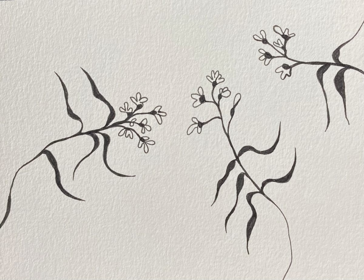 27th Ave Memoriae Botanicum #6239 (Collection #5) by A-M Petersons 