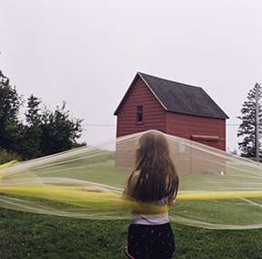 perpetual weft and warp by Alethea Robbins 