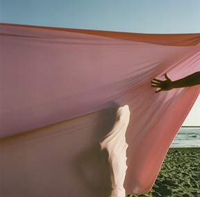 shadows shape by Alethea Robbins 