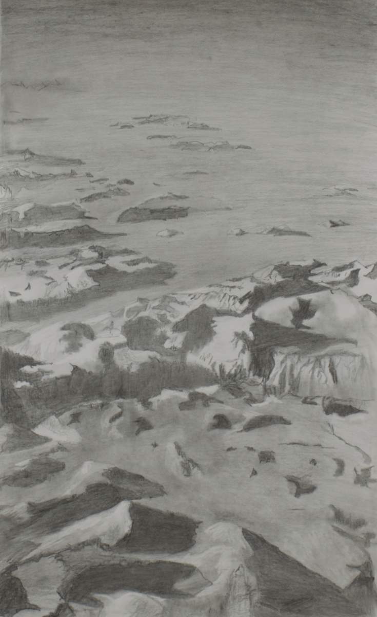 Flying Home by Ann Cronin, Image 2.
